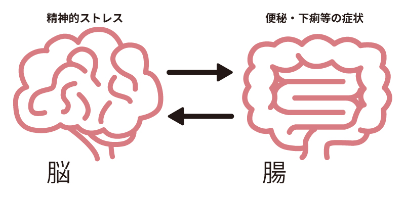 脳と腸の相関